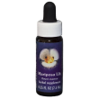 mariposa lily ess 7,4ml calf