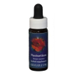 nasturtium ess 7,5ml calf