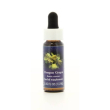 oregon grape ess 7,5ml calf