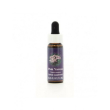 pink yarrow ess 7,5ml calf