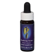 quaking grass essenza floreale californiana 7,4 ml – rimedio naturale per armonia e coesione del g