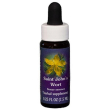 saint john’s wort 7,4 ml california - essenza floreale di iperico per umore e serenità