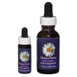 shasta daisy essenza 4 ml california - fiore californiano shasta daisy per chiarezza mentale
