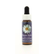 shasta daisy ess 7,5ml calf