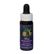 sticky monkeyflower essenza floreale californiana 7,4 millilitri rimedio naturale