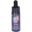 cosmos ess 7,4ml calf 7,4 ml essenza