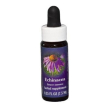 echinacea ess 7,4ml calf