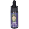 fairy lantern ess 7,4ml calf 7,4 ml essenza