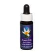 fawn lily ess 7,5ml calf