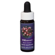milkweed ess 7,5ml calf