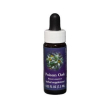 poison oak ess 7,5ml calf