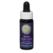 queen annes lace 7,5ml calf