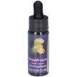 snapdragon ess 7,4ml calf 7,4 ml essenza