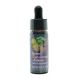 yes yarrow envir solution 7,5ml