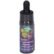 yes yarrow envir solution 7,4m 7,4 ml essenza