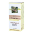 pino mugo olio essenziale 10ml