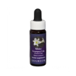 easter lily ess 7.4ml calf