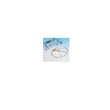 set st flebo c/ago roller fz