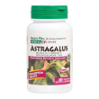 herbal-a astragalo