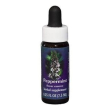 peppermint ess 7,5ml calf