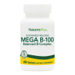mega b100 60tav