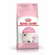 rc kitten 36 4kg gatto minsan 901092181