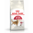 fit 32 - alimento completo per gatti con vita domestica 4 kg
