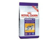 fhn regular sensible 2kg