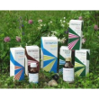 raemil radice ne analc.100ml