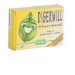 <digermill mastic                 30 tav