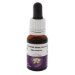 macrozamia ess 15ml aust