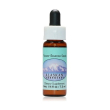 ladies tresses alaskan essences 7,4ml