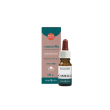 cannella olio essenziale 10 ml, erba vita – naturale per metabolismo e benessere
