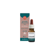 geranio olio essenziale, erba vita, 10 ml – olio naturale per il benessere