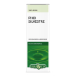 pino silvestre olio essenziale 10 ml - olio essenziale balsamico per diffusori e bagni aromatici