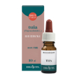 olio essenziale tuja 10ml erbavita