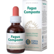 ecosol fagus composta 50ml