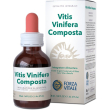 vitis vinifera composta 50ml gocce