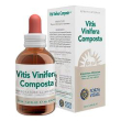 vitis vinifera comp ecosol gtt