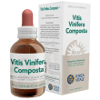 vitis vinifera comp ecosol gtt