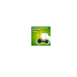 safte orione homecare 1111 guanciale ortopedico cervicale sottovuoto