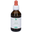 sangalli carpino macerato glicerico gocce 100 ml