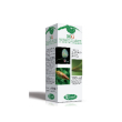 castagno 100ml mg