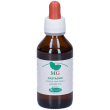 sangalli castagno macerato glicerico gocce 100 ml orali