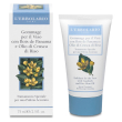 l'erbolario gommage per il viso con bois de panama e olio di crusca di riso 75 ml