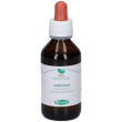 nocciolo 100 ml - integratore per l benessere del tessuto connettivo