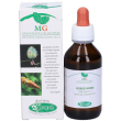 ribes nero gemme fresche 2% macerato glicerico 100ml