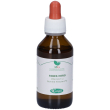 ribes macerato glicerico 100 ml ml