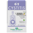 gse cystitis 60cpr