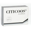 citicoos-integ 24 cps